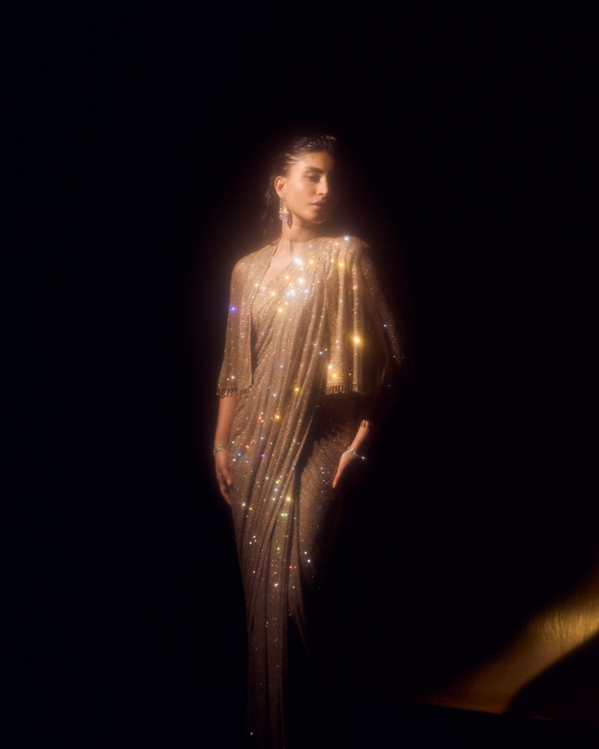 Champagne Crystal Sari