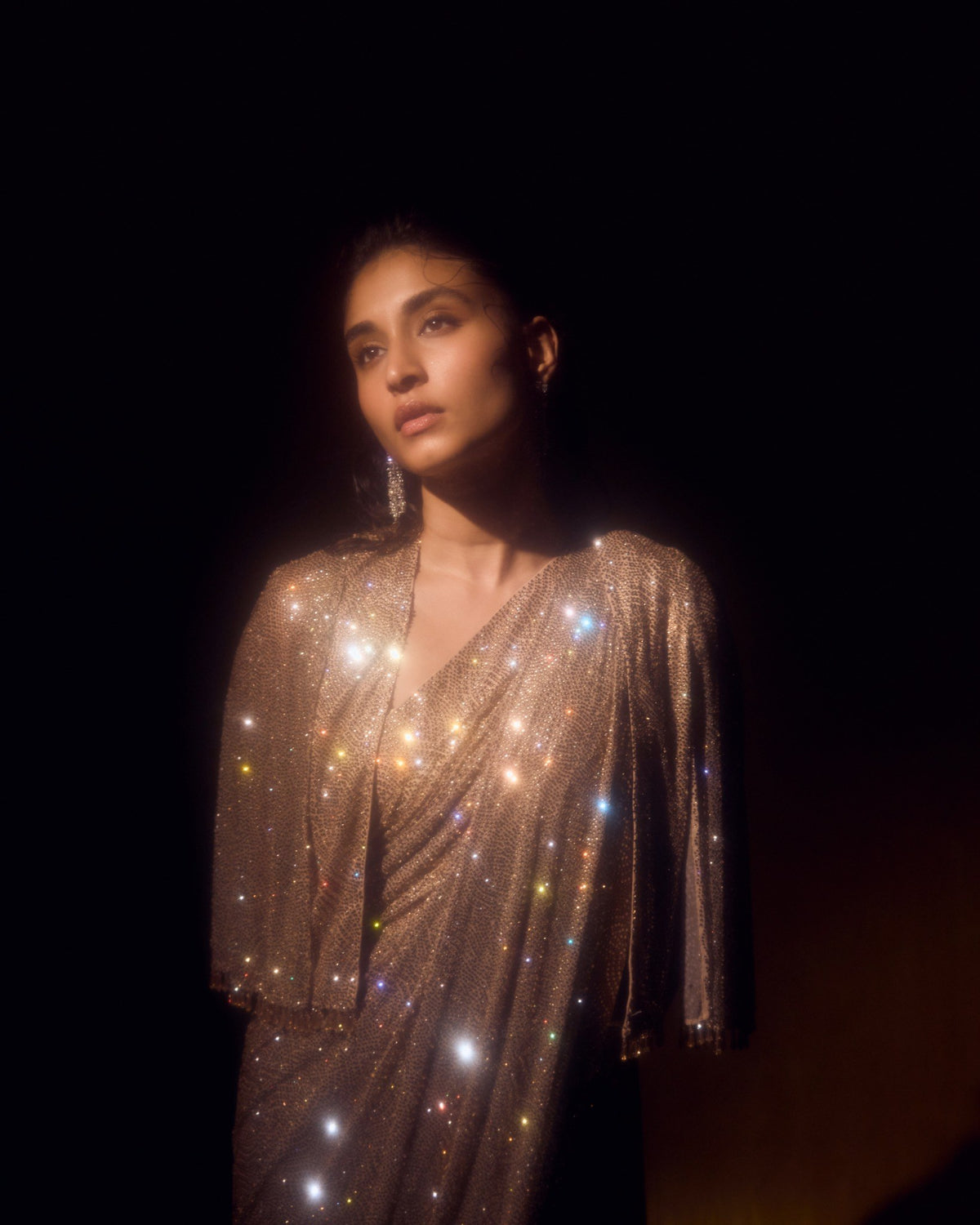 Champagne Crystal Sari