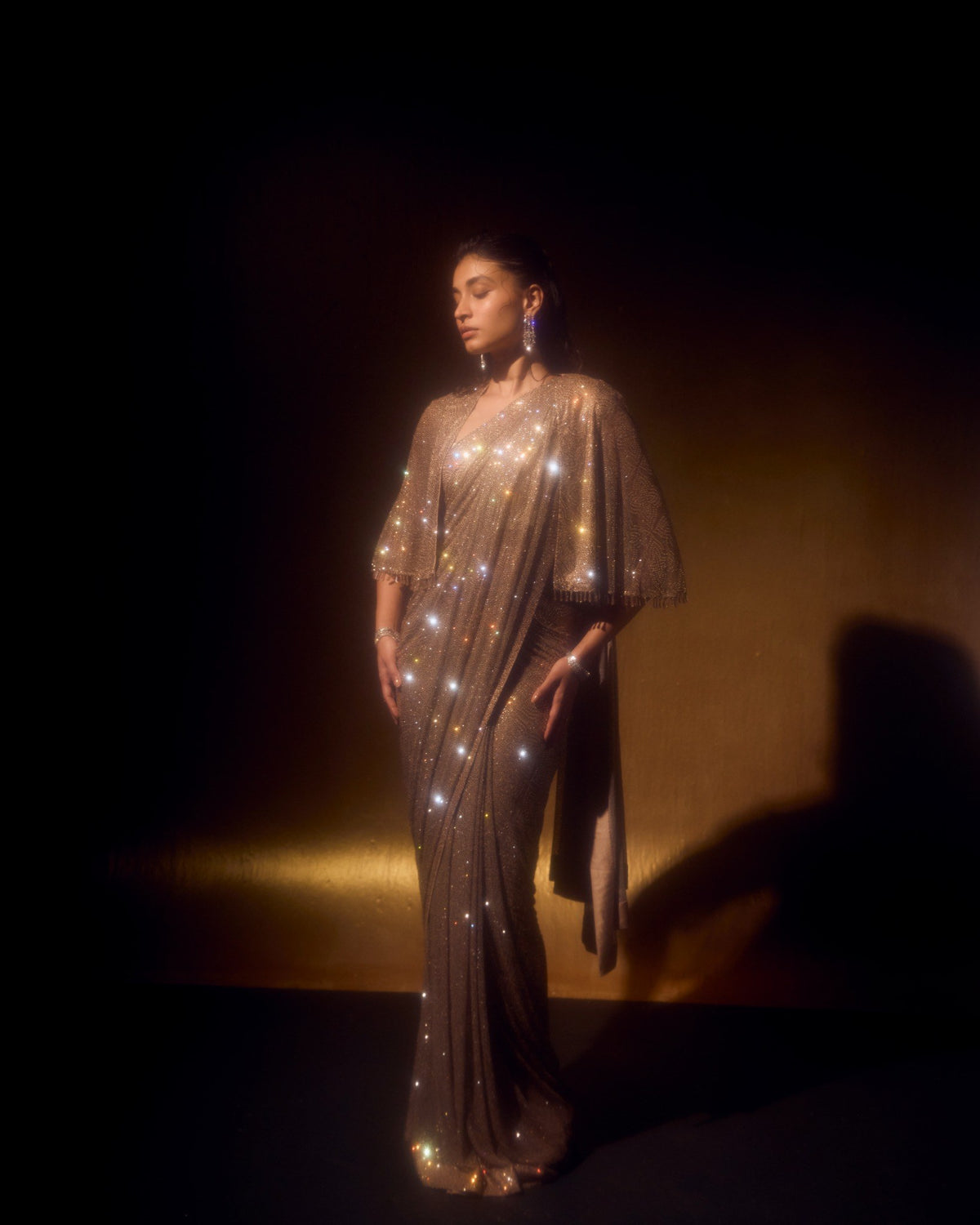 Champagne Crystal Sari